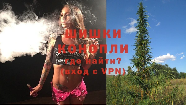 PSILOCYBIN Абаза