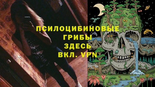 стафф Касимов